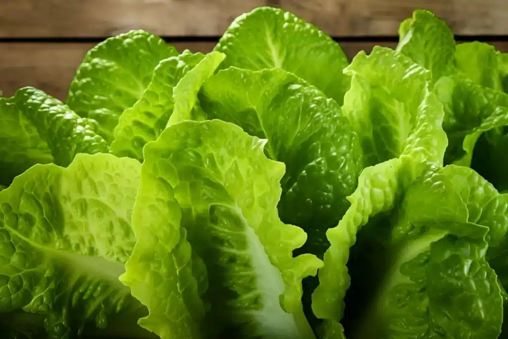 Create Your Own Salad – Large